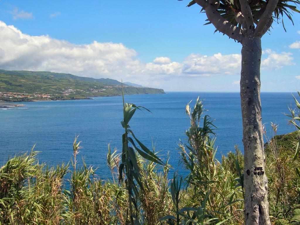 Villa Casa Quinta Do Marques Ponta Delgada Esterno foto